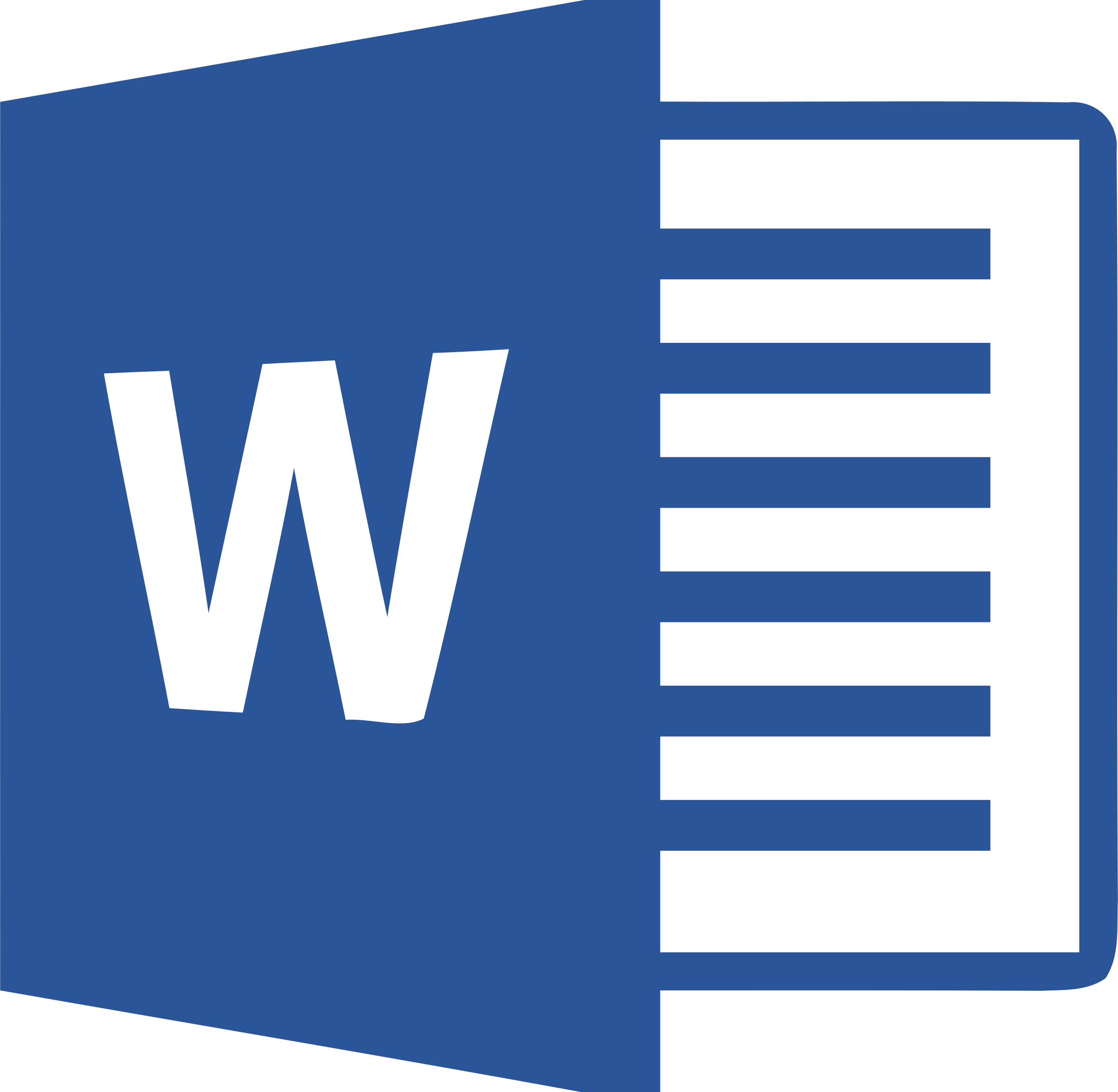 MS Word